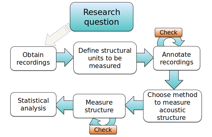 analysis workflow