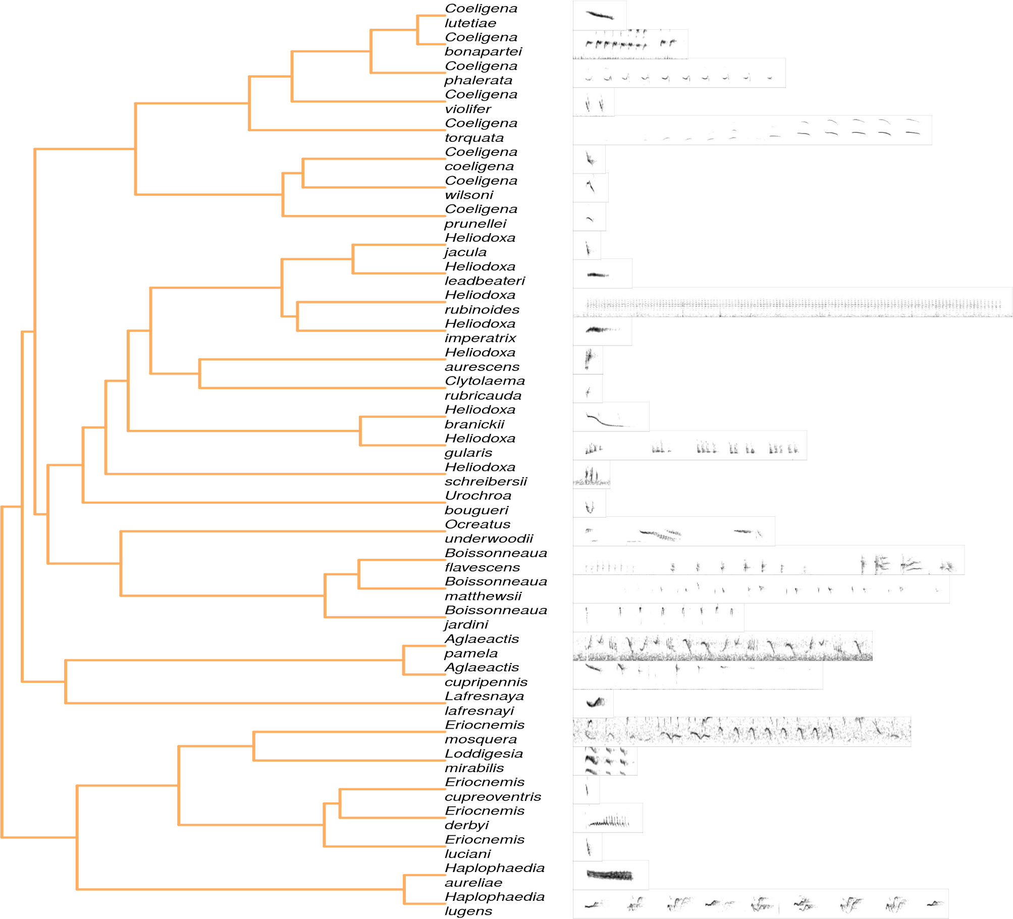 plot of chunk brilliants_tree