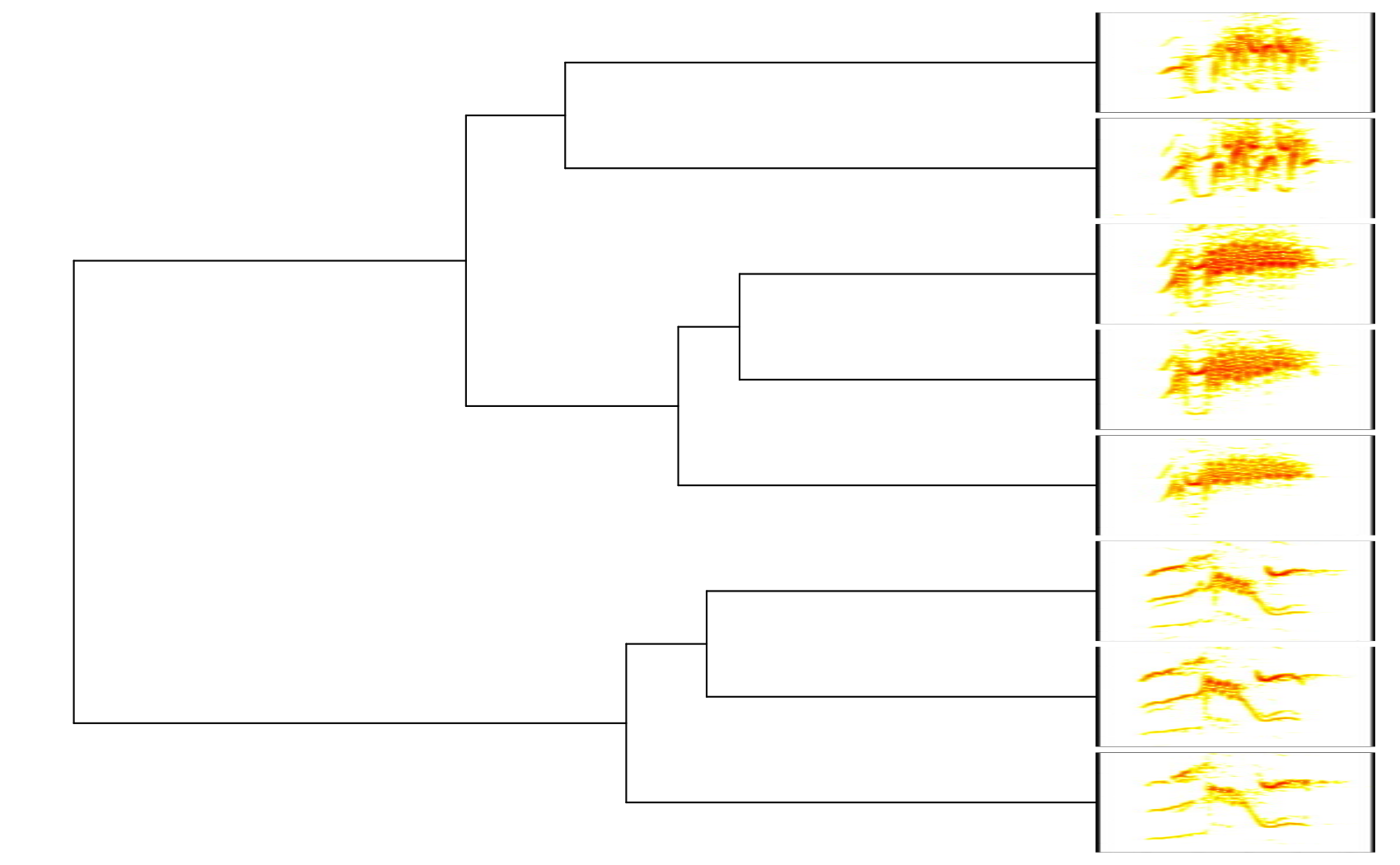 plot of chunk phylo.spectro 1