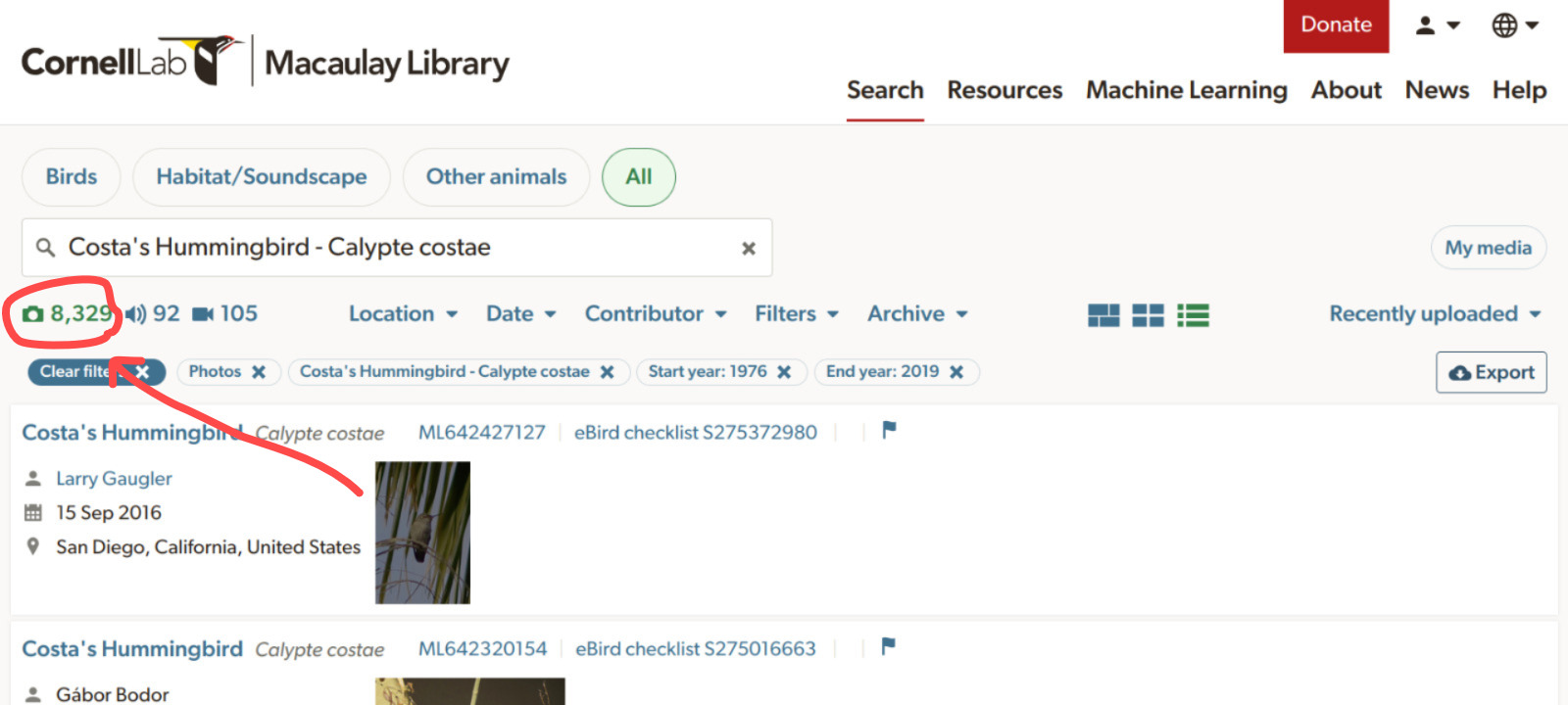Checking number of records at Macaulay Library