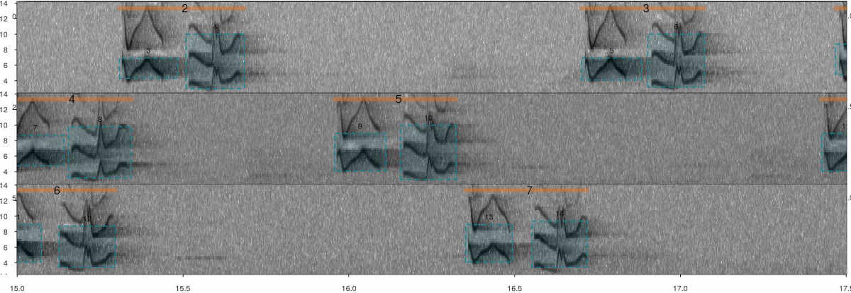 Annotated spectrogram of Scale-throated Hermit songs. Vertical orange lines highlight songs while skyblue boxes show the frequency-time position of individual elements. The sound file can be found at https://xeno-canto.org/15607.